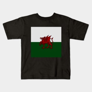 Welsh Dragon Kids T-Shirt